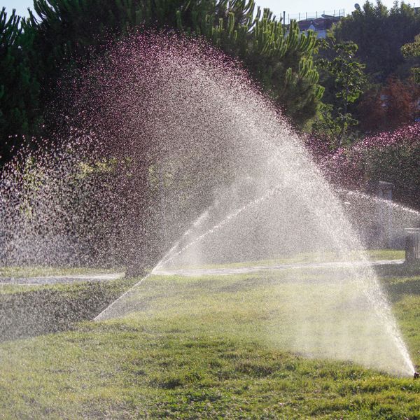 Newly installed underground irrigation system with sprinkler heads across a residential front yard