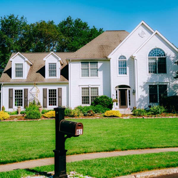 Newly landscaped front yard with decorative plants, mulch, and stone edging