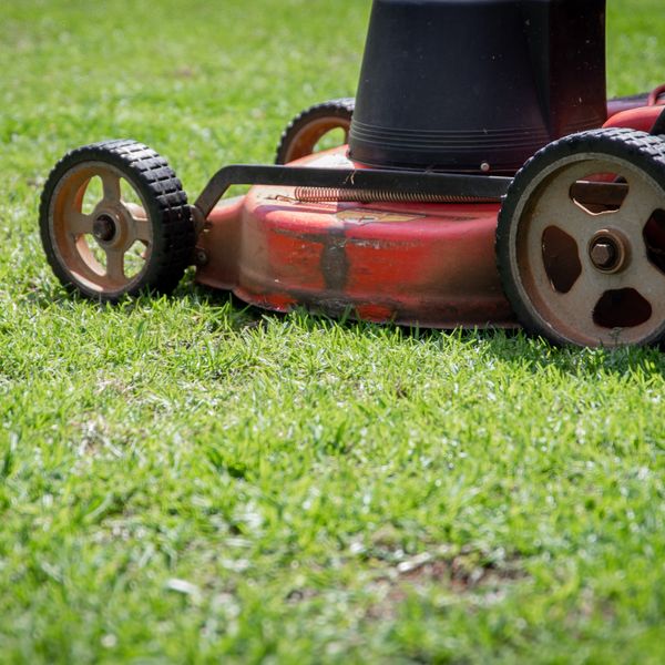 Freshly mowed lawn with clean striping on a residential property